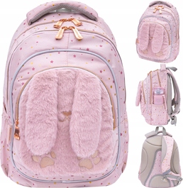 Багатокамерний шкільний рюкзак AstraBag, рожевий, 20 л