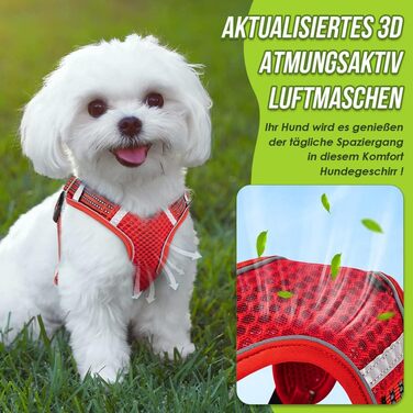 Шлейка для собак маленьких та середніх порід, Air Mesh дихаюча, з м'якою ручкою та замикаючими карабінами, вибухостійка, світловідбиваюча, червона, XS