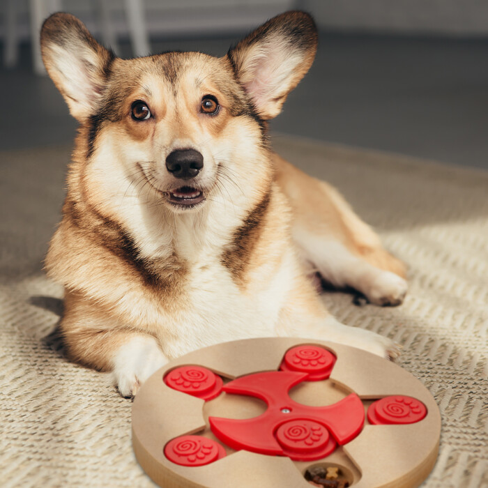 Relaxdays Interactive Dog Toy