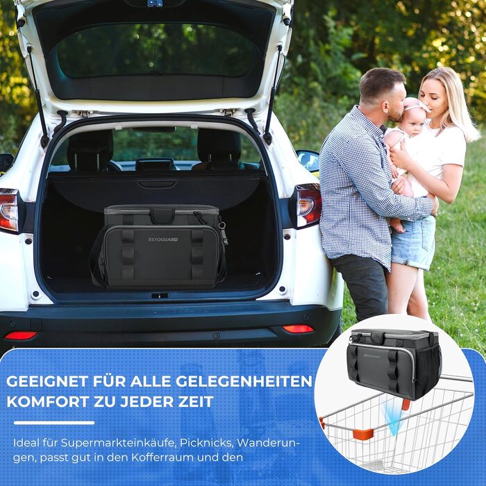 30L Cooler Bag Large Foldable - Cooler Bag for Food & Drinks, Picnic Bag, Insulated Thermal Bag, Car Cooler Bag for Beach/Picnic/Camping/BBQ (Black Handbag)