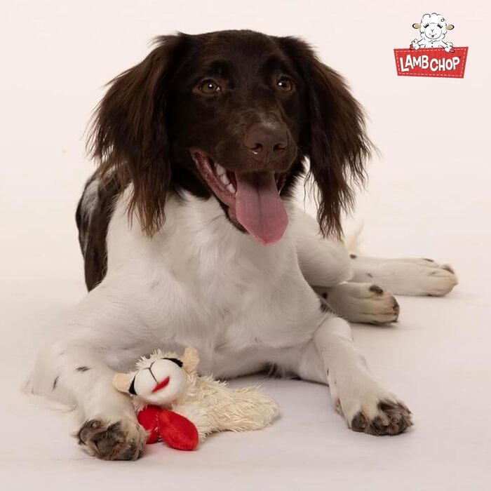 Іграшка для собак Multipet Lamb Chop Jumbo, плюшева, 61 см, офіційна ліцензія, біла