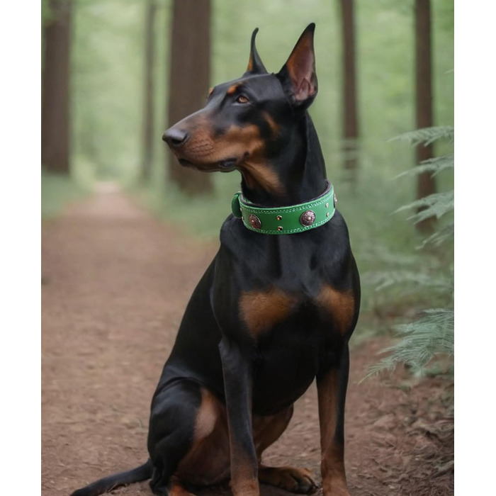 Leather Dog Collar, 5 cm Wide Robust Genuine Leather Collar, Handcrafted, Soft and Luxurious, Striking Best Choice for Large and Medium Dog Breeds (42-52 cm, green)
