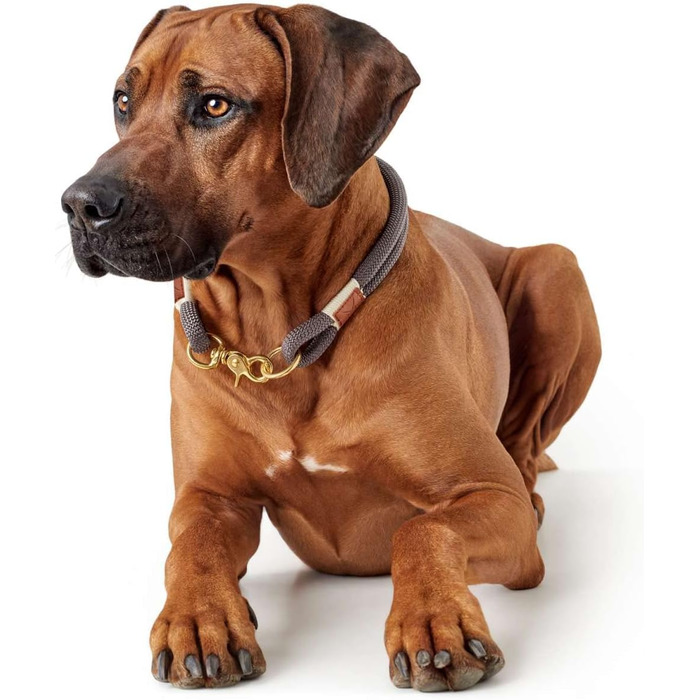 Нашийник для собак HUNTER Sansibar Rantum, сучасний, морський стиль, бежевий, розмір M-L