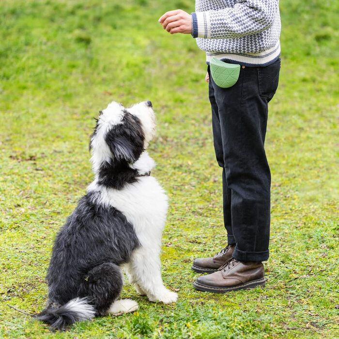 Набір силіконових мішечків для корму Navaris для собак (2 шт.) - мішечки для ласощів, сухого та вологого корму з кліпсою та магнітом - сірий & червоний (зелений/сірий)
