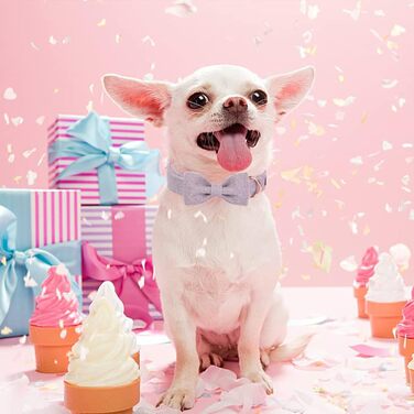 Нашийник для собак Aring Pet з бавовни лавандового кольору з бантом, регульований з металевою застібкою, для малих, середніх та великих собак