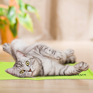 Relaxdays Cooling Mat for Dogs