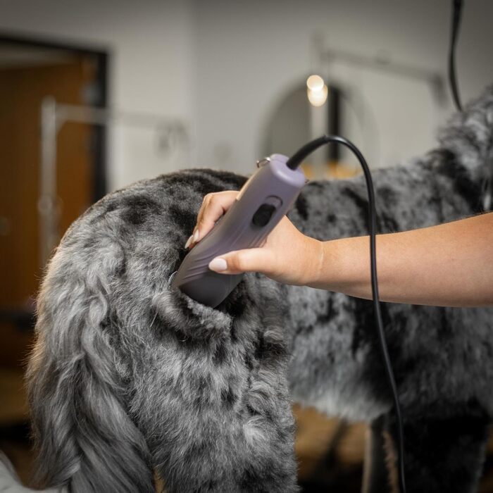 Машинка для стрижки собак та котів Agrarzone KM10+ з набором гребінців - професійний інструмент для грумерів та ветеринарів, тиха та з низькою вібрацією