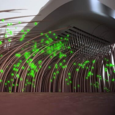 PiddiPet Іонна щітка для грумінгу тварин - електрична щітка для собак та котів, проти ковтунів та підшерстка, зменшує статичну електрику та випадання шерсті, м'яка, самоочисна, для чутливої шкіри