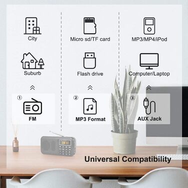 PRUNUS J-725 FM/UKW радіо: цифрове, з акумулятором 3000mAh, портативне, з USB/SD/TF/AUX, радіо-годинник, з аварійним освітленням (чорний)