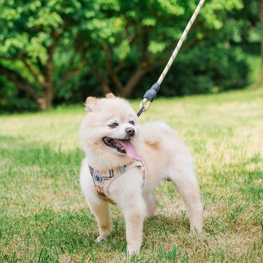 Шлейка та поводок для собак та котів Beautyzool, м'яка сітчаста тканина, світловідбивачі, для дрібних та середніх цуценят та котів, в клітинку, XS/S, Бежевий (37-41 см обхват грудей)