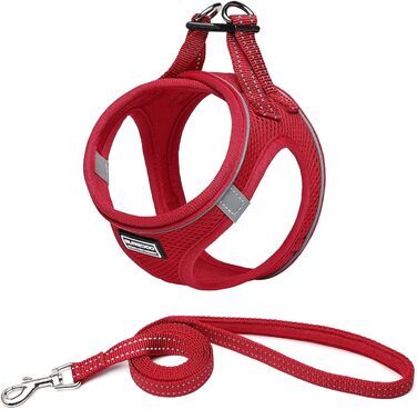 Нашийник для собак з повідком Anti-Pull, світловідбиваючий, для маленьких собак, кошенят, тварин (Червоний, S)