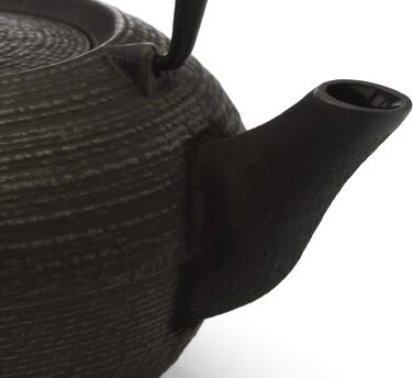 Bredemeijer Blue Flat Asia Teapot 1.1 Liter Cast Iron - Asia Cast Pot with Stainless Steel Tea Filter (200x160x115, Black)