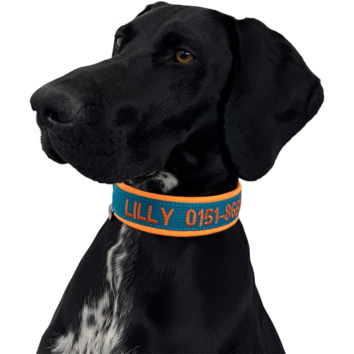 Ошийник для собак з персоналізацією - XS-XXL - індивідуальне замовлення - вишивка імені та номеру телефону - широкий та регульований