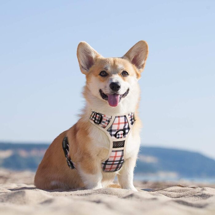 Нашийник для собак PoyPet без натягу, світловідбиваючий, м'який, з легким доступом, для маленьких собак (S, в клітинку, бежевий)