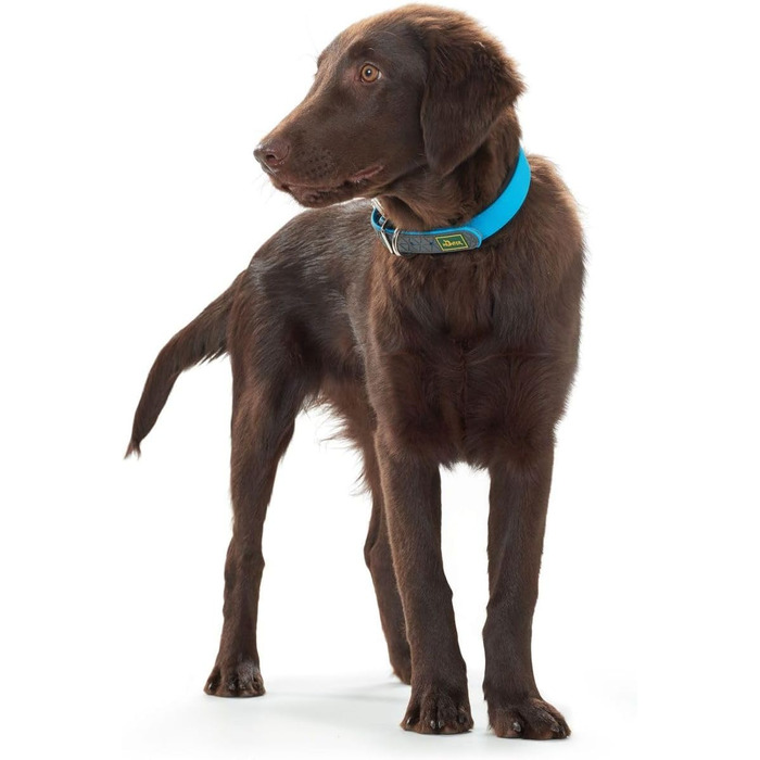 Нашийник для собак HUNTER CONVENIENCE COMFORT, тюркіс, 45 см (S-M), неопрен, для спорту та відпочинку