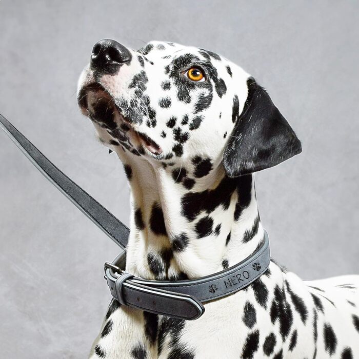 Набір повідка та нашийника ne&no® (веганська шкіра) для собак. Міцний поводок з карабіном, регульований нашийник, поводок 1.2 м, м'який, синій/антрацит, персоналізований (M)