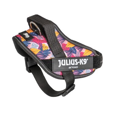 Миска для собак IDC Leaf 2 Limited Edition, розмір S/Mini