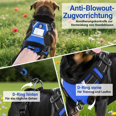 Нашийник для собак великих порід з ручкою, не тягне, дихаючий, з підкладкою, безпечний, світловідбиваючий, з поводом, для тренувань та активного відпочинку, блакитний