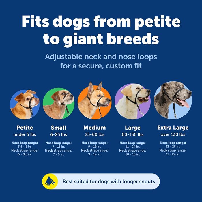 PetSafe Sanfter Führer: Нашийник-тренер з DVD (яблучно-зелений, Medium)