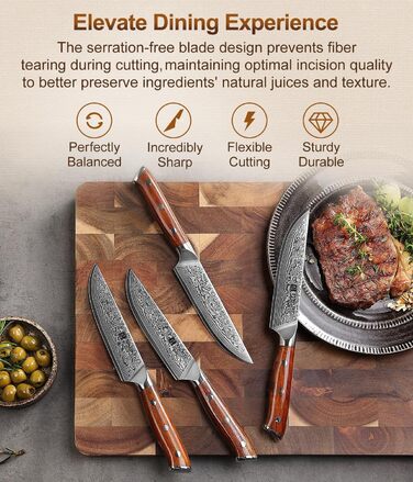 XINZUO Damascus Chef's Knife Set - 67 Layer High Carbon Steel, Professional Gyuto Knife with Rosewood Handle (5-Piece Steak Knife Set)