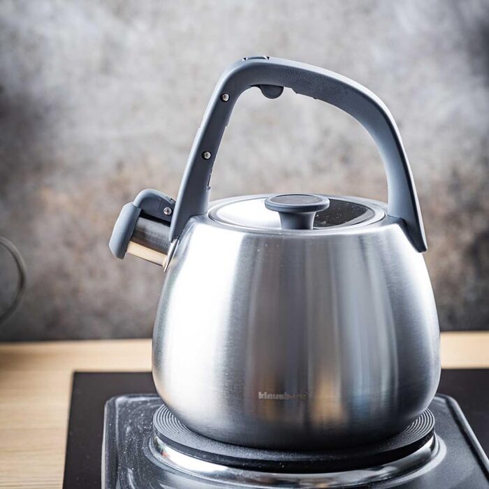 Чайник сталевий 2.5L Induktion (сріблястий)