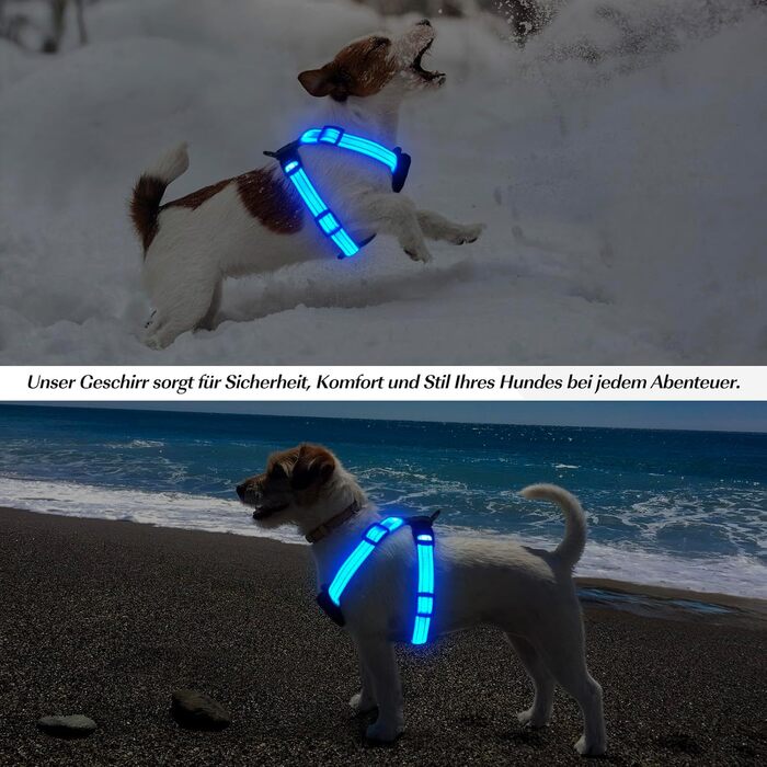 Світловідбиваючий нашийник для собак PZRLit з підзарядкою, для маленьких собак XS, LED нашийник для цуценят, безпечні прогулянки вночі (Блакитний)