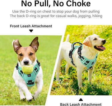 Нашийник для собак No-Pull, грудна шлейка для маленьких, середніх та великих собак - м'яка, дихаюча, регульована, світловідбиваюча, проти потягування з м'яким тримачем (L, блакитний)