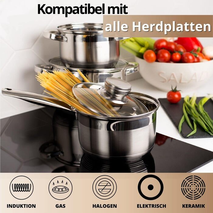 Danik Standard Stainless Steel Cooking Pot with Glass Lid, 20 cm, 4 Liters, Soup Pot/Noodle Pot/Pasta Pot, Silver