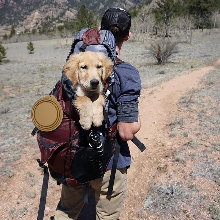 SLSON Складаний миска для собак 2 шт. - Портативна годівниця для тварин з карабіном для подорожей (зелена)