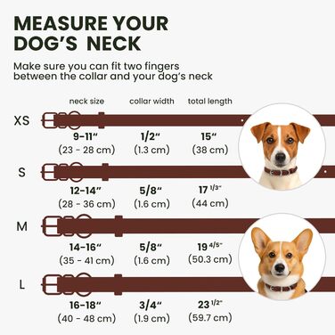 Нашийник для собак BRONZEDOG з шкіри, з QR-ID міткою, шоколадно-коричневий, розмір M (35-41 см)