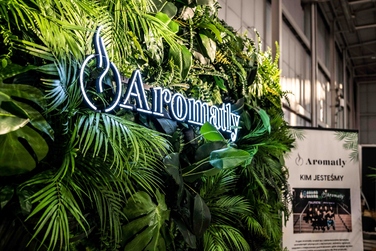Ультразвуковий зволожувач повітря Aromatly Flame 2, білий, 20 мл/год