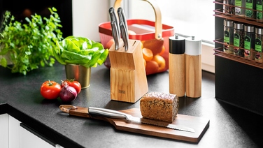 Набір ножів у підставці Teesa, 5 предметів, TSA0204