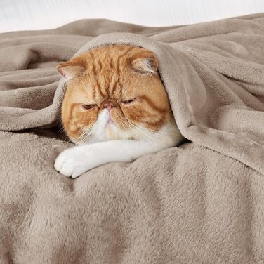 М'яка ковдра BEDSURE з флісу - тепла зимова ковдра, ковдра на диван XXL, велика ковдра для дому та відпочинку 220x240 см, ковдра на диван (Світло-коричневий, 150 x 200 см)