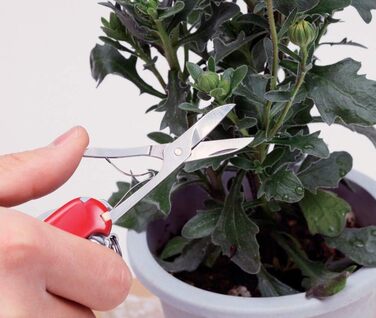 Мультитул Victorinox Wenger: швейцарський ніж з 7 функціями, клінок, пилка для нігтів, ножиці