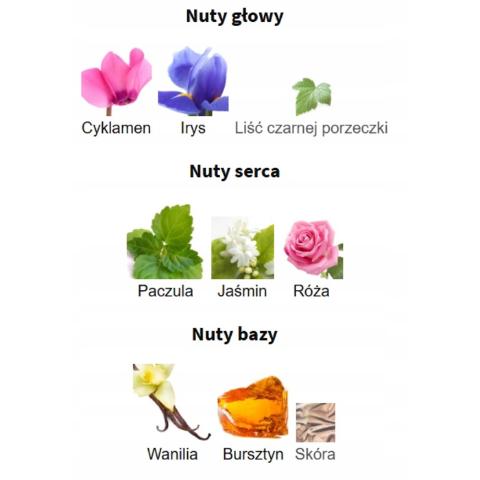 Парфумована вода для жінок Fragrance World Essence De Noir, 100 мл, спрей