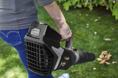 Alpina Cordless Leaf Blower ABL 20 Li Kit, For a well-maintained garden, 20 V (4 Ah) battery, 280 W, space-saving detachable tube, Includes battery and charger.