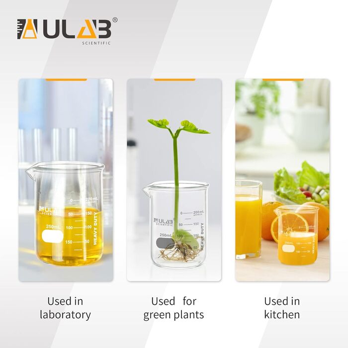 ULAB Heavy Duty Beaker, 6 Pieces Vol.250ml (8.45oz), Borosilicate 3.3 Glass, Thick-Walled Beakers, with Double Scale, Superior Durability & Chemical Resistance, UBG1055