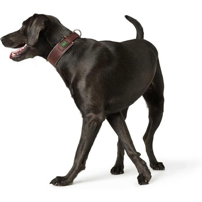 Нашийник для собак HUNTER NEOPREN Reflect, коричневий, широка, світловідбиваюча, для прогулянок, розмір 60