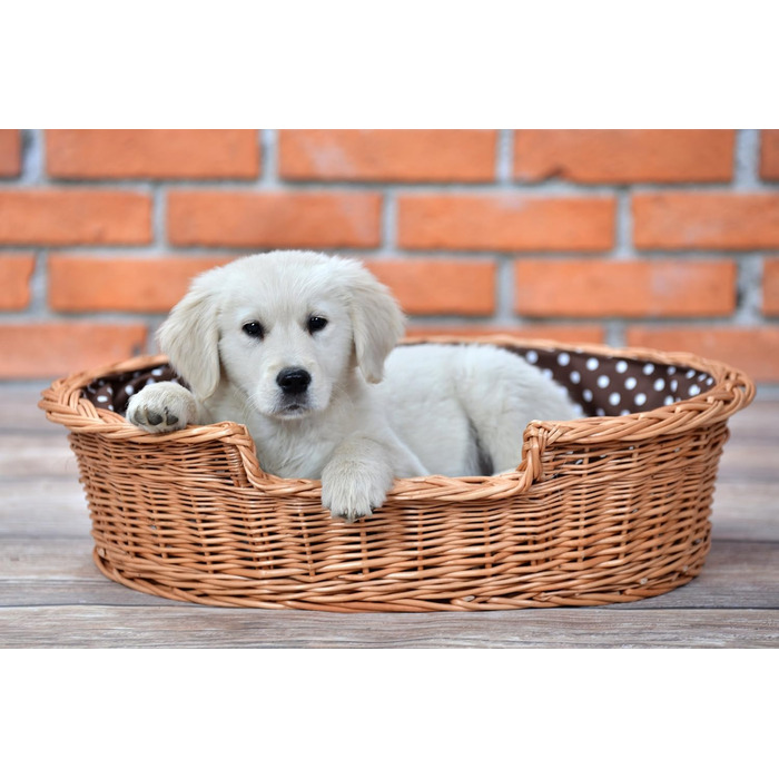 Wicker dog basket for dogs and cats. Dog bed, cat bed with cushion, pet basket, woven cat basket. 60x43 H19 cm (L 80 x W 60 x H 26 cm, Natural)
