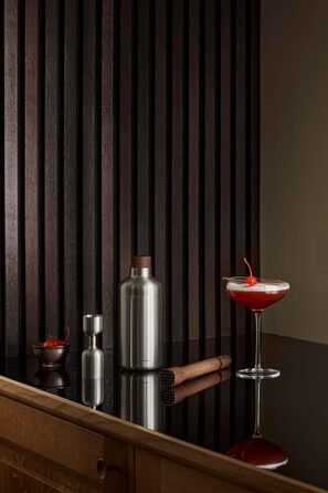 Eva Solo | Liquid Lounge Cocktail Shaker | Ensures quick cooling of your drink | Danish design and functionality | Brushed stainless steel