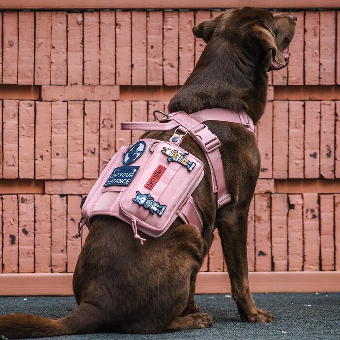 Нашийник для собак OneTigris Guardian з міцною металевою фурнітурою та великою кишенею, рожевий, M
