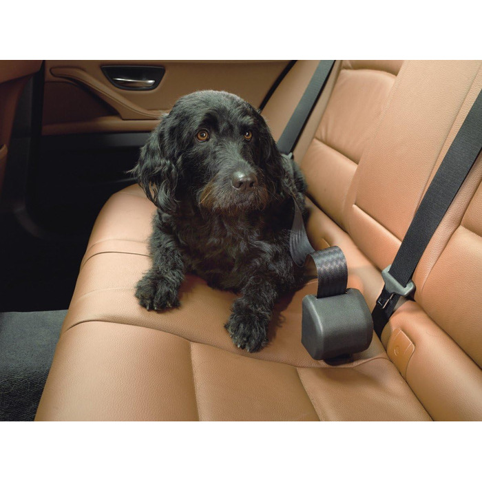 Kleinmetall Click'n Roll Automatic Retractable Dog Leash - Single