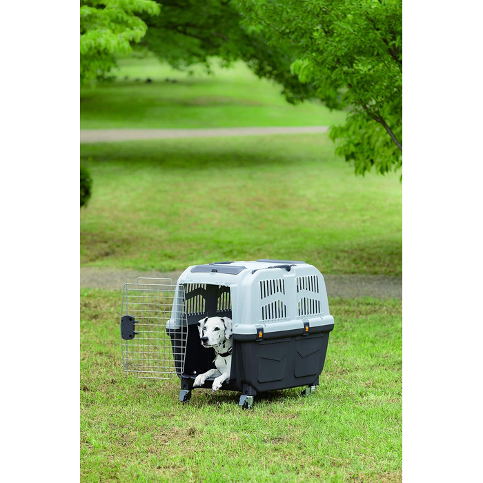 Транспортний ящик 'Skudo 6 IATA' сірий, 92 x 63 x 70 см