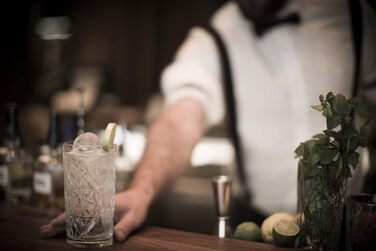 Gin-Tonic Bar Equipment, stainless steel look, food-safe, dishwasher-safe, long drink set (Basic Set)