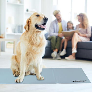 Relaxdays Cooling Mat for Dogs, Grey