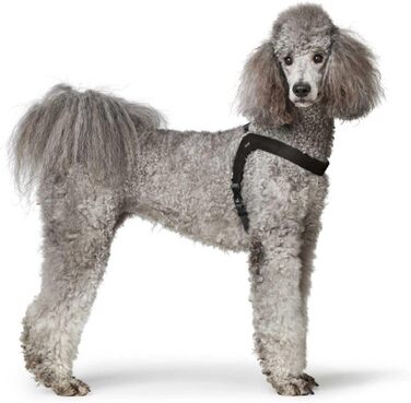 Нашийник для собак HUNTER DIMARO, чорний, з м'якої та міцної шкіри, регульований, для цуценят та собак, що бояться намордників, розмір L