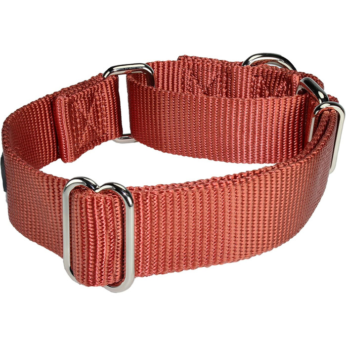 Нашийник для собак Mikivery Marraht: стильний металевий нашийник для тварин, підходить для собак малого, середнього та великого розміру (35.5-53 см, Колір: Коричневий)