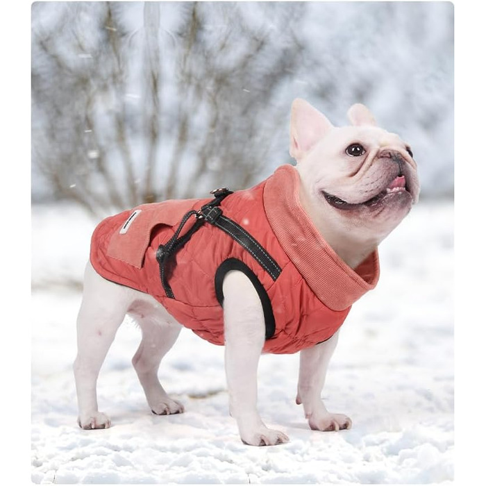 Dog Coat, Dog Jackets with Harness, Winter Warm Jacket Windproof Pet Clothing with Pocket Design Snowsuit Dog Jackets for Small Medium Dogs (Red, M)