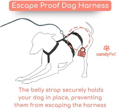 Шлейка для собак Whippet, Podenco, Італійський грейхаунд - антитягальна, для прогулянок, тренувань та бігу (Рожева, XS)