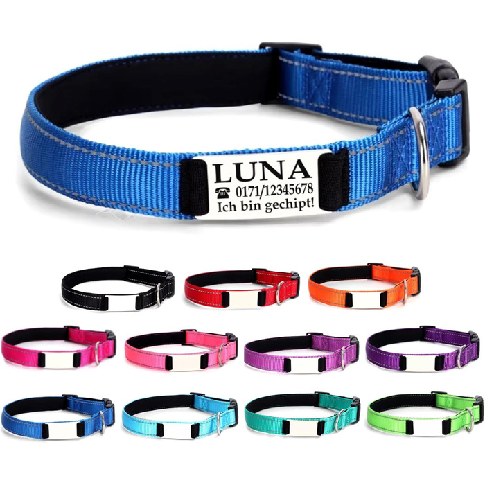 Персоналізований нашийник для собак, з іменем, для маленьких собак, 25-40 см, світловідбиваючий (блакитний, L)